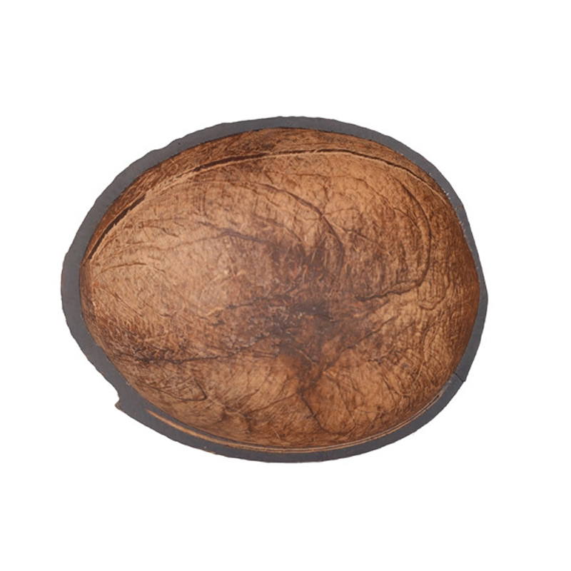 Natural Coconut shell bowl